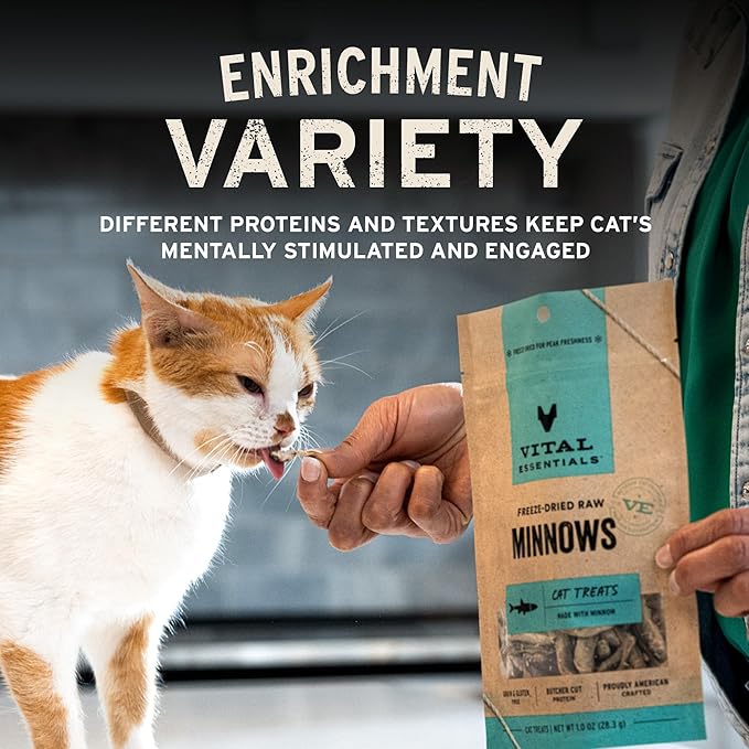 Vital Essentials Salmon Bites Cat Treats, 1.1 oz | Freeze-Dried Raw | Single Protein | Grain Free, Gluten Free, Filler Free