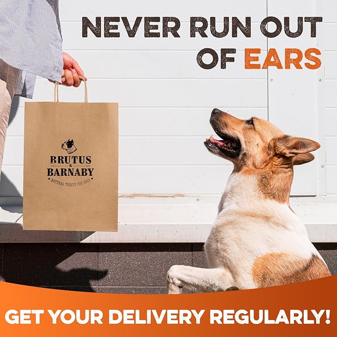 BRUTUS & BARNABY Cow Ears for Dogs – Halves 12 ct, Thick Cut, Grass-Fed Angus Beef, All-Natural No-Rawhide Dog Treat Alternative