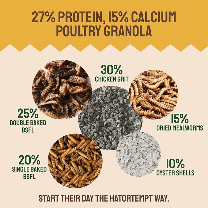 Hatortempt Non-GMO Chicken Feed - 10 lb, Pack of 1 - High Protein Formula - Mealworms for Chickens - Egg Shell Strength - Calcium Grit - Layer Nutrition & Layer Feed