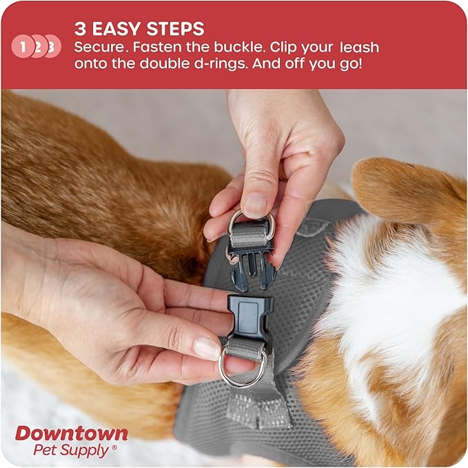 Downtown Pet Supply Step-in Dog Harness – No Pull, Adjustable Padded Mesh with Reflective Trim, Secure Buckle Strap – Comfortable & Breathable Small Dog Harness, Large, Light Gray