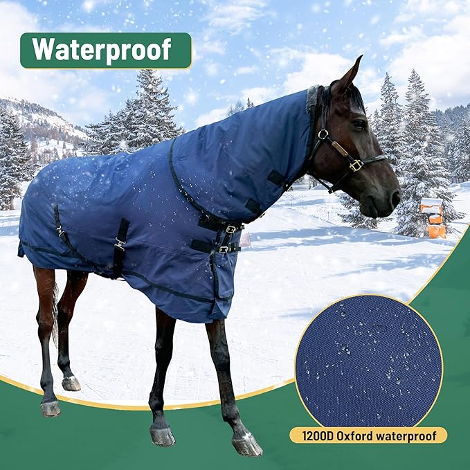 Horse Turnout Blanket | Medium Weight Horse Blanket with 1200D 280g Cotton Filling | Detachable Neck Cover & Belly Wrap (81i/155cm)