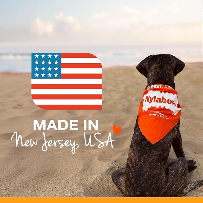 Nylabone Original Bone Power Chew Toy for Dogs, Durable & Tough Dog Toys for Aggressive Chewers, Peanut Butter Flavor, Small - Up to 25 lbs - Up to 25 Ibs, 1 Count