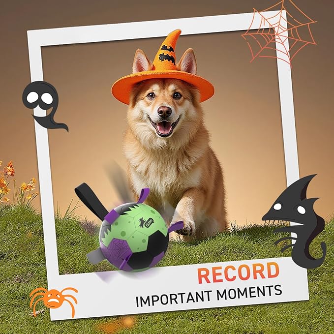 QDAN Dog Toys Ball: Dog Soccer Balls with Straps- Outdoor Herding Balls Toys for Small Medium Dogs- Halloween Puppy Pet Birthday Gifts- 6 Inch Purple Green