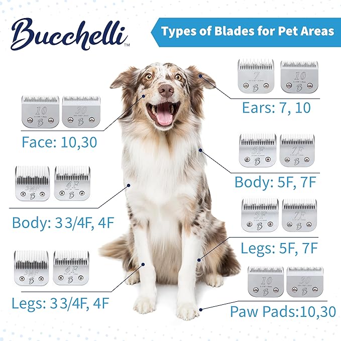 Detachable A Series 30 Blades for Dog Grooming Cuts Hair 1/50" - 0.5mm Japanese High Carbon Steel Dog Grooming Blade (Compatible A5 Series Clippers for Dogs Cat(B30)