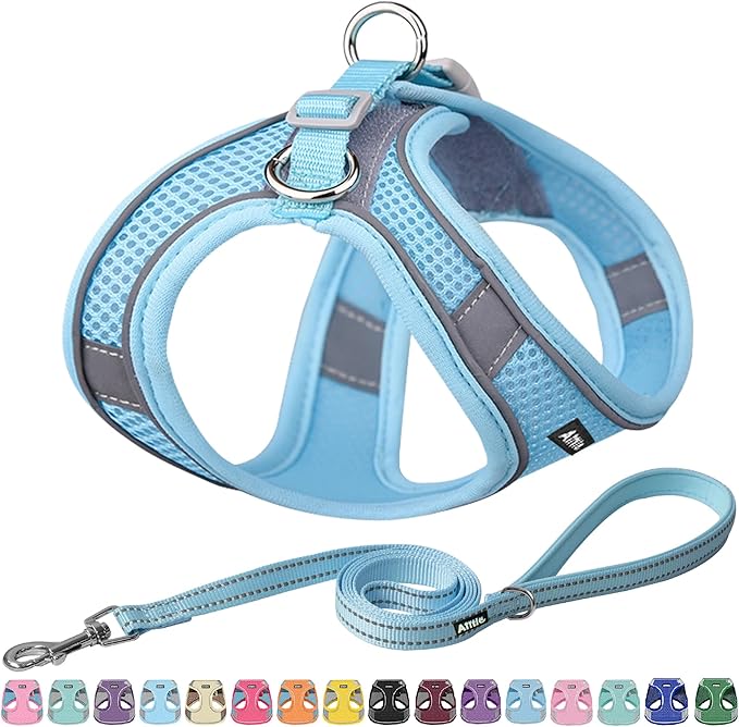 AIITLE Dog Harness, Summer No-Pull Cat Harness with a Leash, Adjustable Reflective Dog Vest, Cat Harness Escape Proof, Outdoor Walking, Camping for Extra Small Dogs and House Cats Pure Blue XXXS
