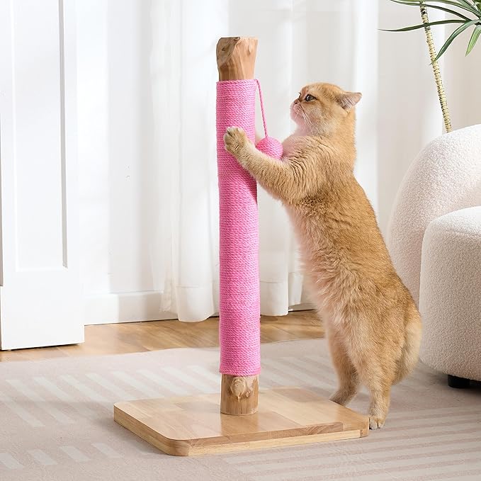 29" Tall Cat Scratching Post with Sisal Scratcher, Extra-Stable & Natural Solid Rubber Wood Base, Hanging Ball Toy for Indoor Cats Adults & Kittens, Pink