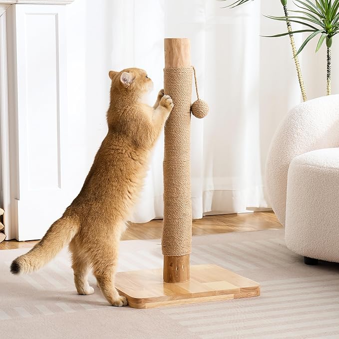 29" Tall Cat Scratching Post with Sisal Scratcher, Extra-Stable & Natural Solid Rubber Wood Base, Hanging Ball Toy for Indoor Cats Adults & Kittens, Beige