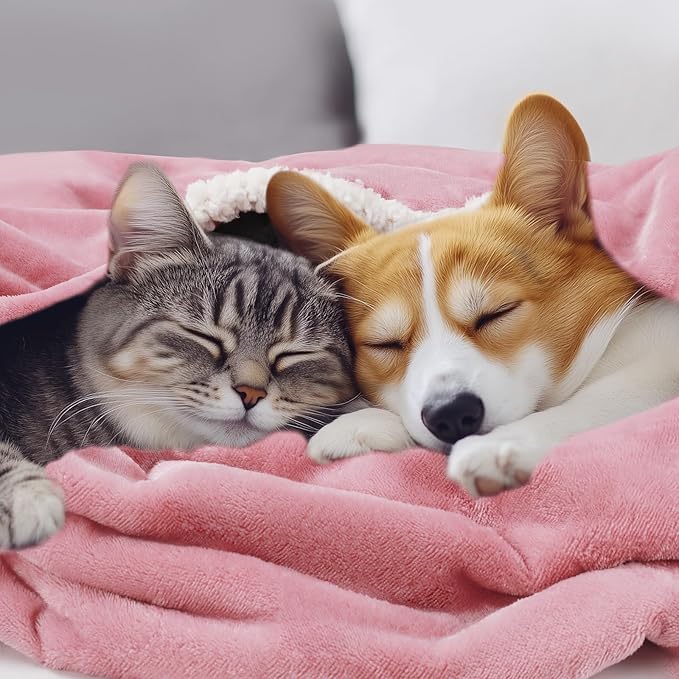 Luciphia Waterproof Bed Blanket Washable,Soft Sherpa Fleece Puppy Reversible Throw Blankets for Small Dog Cat,Furniture Cover Protector Couch Bed from Liquid Pee and Pet Fur, Pink White, 40" x 28"