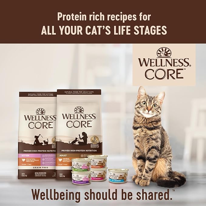 Wellness CORE Signature Selects Shredded Adult Wet Cat Food, Natural, Protein-Rich, Grain Free, 5.3 Ounce, 12 Pack (Chicken & Turkey)