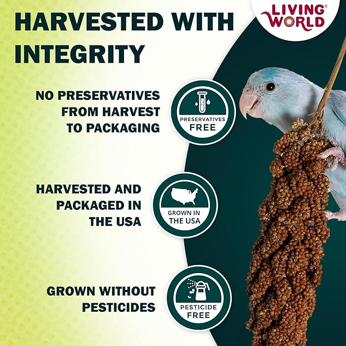 Living World – Millet Spray for Birds, 17.6 Oz – Premium Treat for Budgies, Canaries, Finches, Cockatiels and Other Pet Birds
