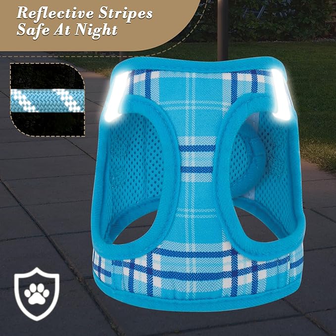 Athena Collection Small Dog Harness with 5 ft Leash, Step-in Dog Harness Leash Set Small No Pull Dog Vest Harness with Reflective Strips Adjustable Velcro, Easy Walk Puppy Harness, Blue