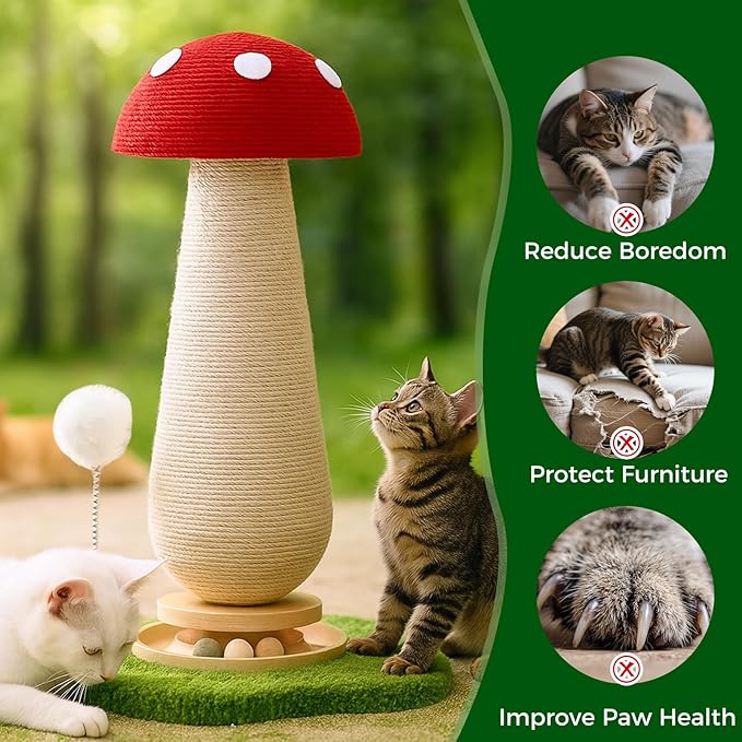 DFQ Mushroom Cat Scratching Post,Scratcher for Indoor Adults Cats, Kitty Tree with Catnip Ball Track Spring Fur Ball,Durable Sisal Toy,Kitten Tower with Durable Solid Wood,25.2''-Red