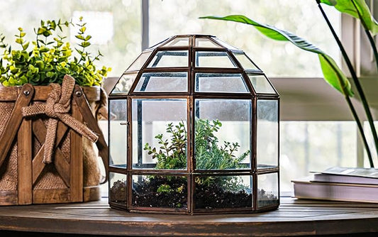 Urban Born Large Terrarium Birdcage, Glass and Metal Indoor Display Case, Unique Gift Idea, Succulent Container, Orchid Planter, Home Decor. (Bronze) 10" x 9"(Diameter)
