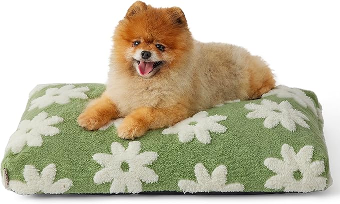 LE SURE Small Dog Beds-Thick Shredded Chopped Foam Pet Bed Indoor with Removable Cover, Cute Modern Fuzzy Plush & Anti Slip Bottom, Green