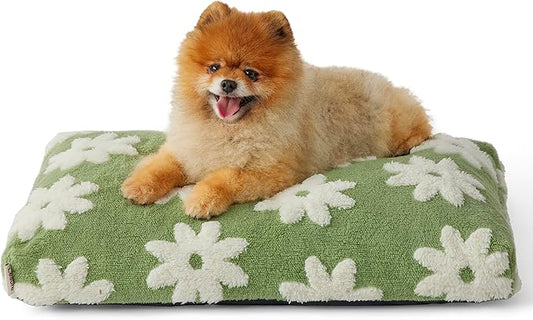 LE SURE Small Dog Beds-Thick Shredded Chopped Foam Pet Bed Indoor with Removable Cover, Cute Modern Fuzzy Plush & Anti Slip Bottom, Green