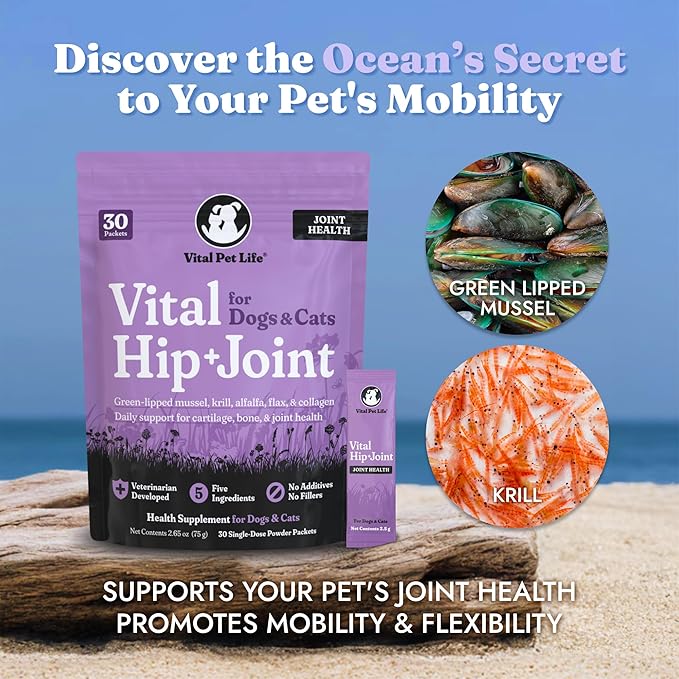 Vital Pet Life Green Lipped Mussel & Krill Powder, Hip & Joint Supplement for Dogs and Cats, Dog Joint Supplement, Mobility, Inflammation Defense, Collagen for Dogs, Veterinarian Developed, 30 packets