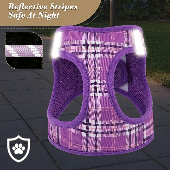 Athena Collection Step-in Dog Harness with 5 ft Leash, Medium Dog Harness Leash Set Large No Pull Dog Vest Harness with Reflective Strips Adjustable Velcro, Easy Walk Dog Harness, Purple
