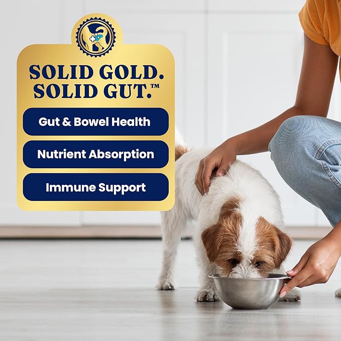 Solid Gold Wet Dog Food for Small Dogs - Grain Free Small Dog Food Wet Recipe w/Chicken, Lamb & Superfoods for Gut Health & Immune Support - for Puppies, Adult & Senior Breeds - 12ct Variety Pack
