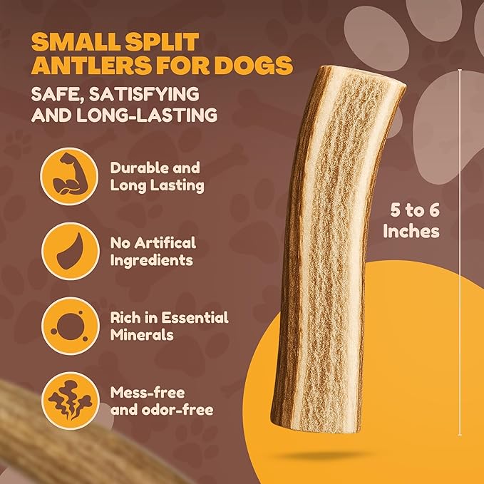 WhiteTail Naturals - Premium Split Elk Antlers for Dogs - (3 Pack Small to Medium) - All Natural, Dog Chew Bones - Naturally Shed, Cruelty-Free, Antler Chews