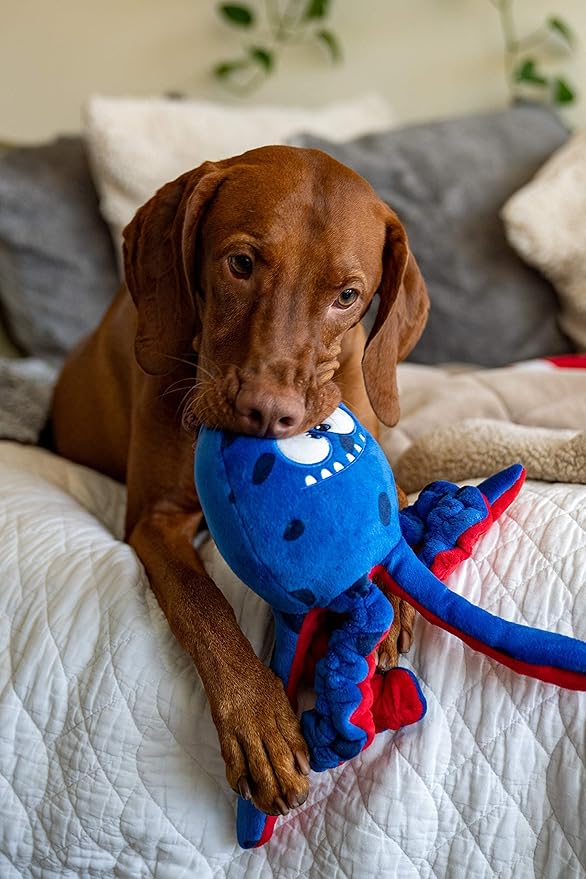 Octopus Dog Toy Set | 3-in-1 Interactive Play: Squeaky Plush with Crinkly Bungee Arms & Durable Life Ring - Large Spiky Squeaker Inside - Small to Large Dogs