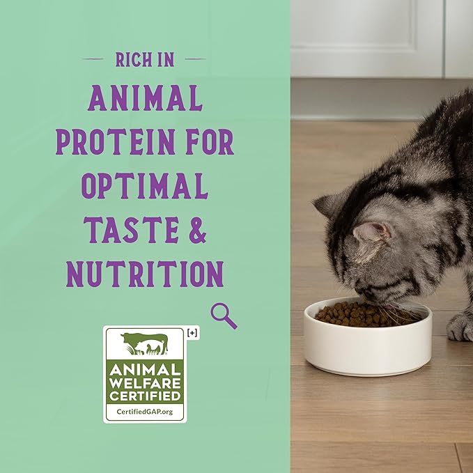 Open Farm Goodbowl, Protein Rich Dry Cat Food Made from Meticulously Sourced Simple Ingredients, Harvest Chicken & Brown Rice Recipe, 3lb Bag (48oz Bag)