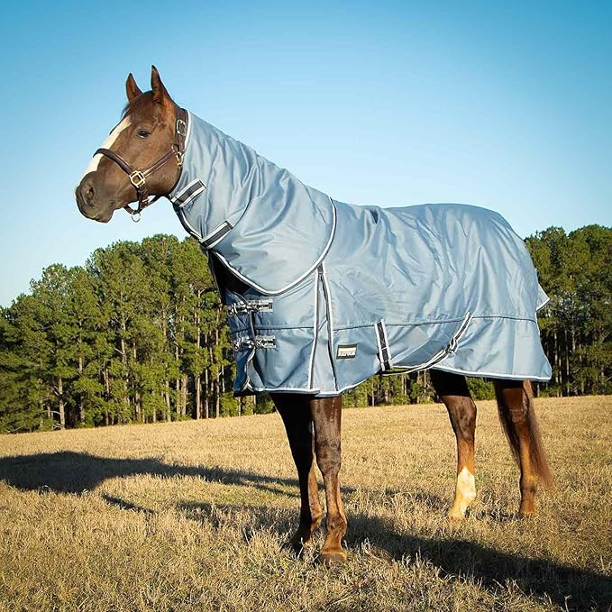 Jeffers Poplar Head Refuge 1200D Waterproof Horse Turnout Blanket, Detachable Neck, 360g Insulation, Winter Stable Sheet, Windproof, Heavy Duty Equine Rug for Cold Weather, Hamilton Blue, 72"