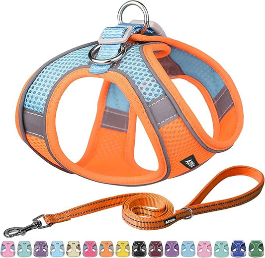 AIITLE Escape Proof Dog Harness - Step in Adjustable Dog Harness No Choke Over with Breathable Mesh and Quick-Release Buckle for Summer- Outdoor Walking, Camping, Training for Medium Dogs Orange XL