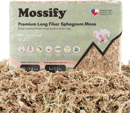 Mossify Premium Sphagnum Moss for Plants 1kg, 2.2 lbs - Long Fiber Moss for Plants Indoor, Orchids, Terrariums, Gardening, Reptiles – Moisture Plant Moss for Propagation, Soil & Habitat Bedding