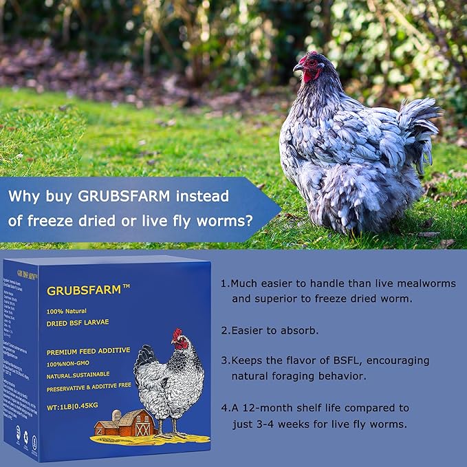 Premium Chicken Treats 1LB - Non-GMO & 85X More Calcium Than Meal Worms - Molting & Laying Supplement - BSF Larvae Treats for Layer Hens, Ducks Wild Birds