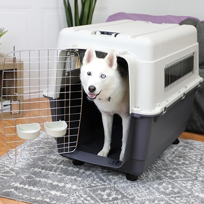 SportPet Designs Plastic Kennels Rolling Plastic Wire Door Travel Dog Crate, XXL