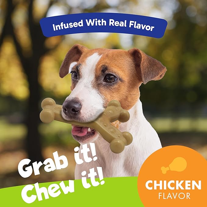 Chew'ems Durable Chew Toys for Small Dogs | Long-Lasting & Flavorful Chew Dog Toys, Small Dog Breeds | Chicken-Flavored (Pack of 2)
