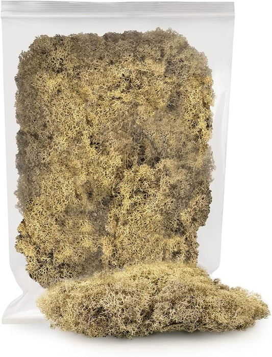 GARDENERA Premium Preserved Reindeer Moss for Potted Plants, Terrariums, Fairy Gardens, Arts and Crafts or Floral Decor Design in Natural (2 Quart Bag)