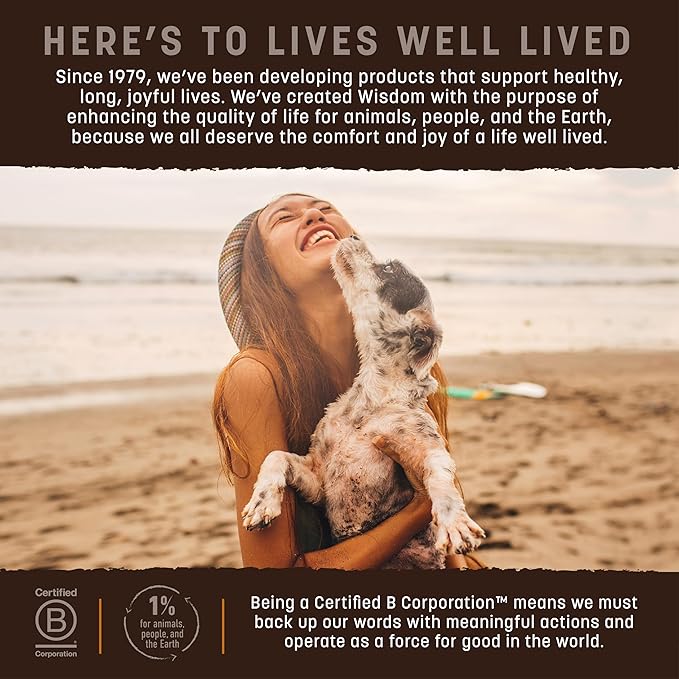 Earth Animal Wisdom Air Dried Jerky - from The Soil Recipe Premium Natural Insect Based Jerky Strips Dog Treats - 3 Pack 4 oz Bag