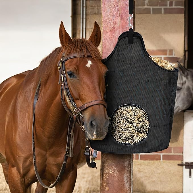 ERKOON 15 Pack Heavy Duty Snap Hooks Double Sided Clips for Hanging Horse Tack Sling Feed Buckets Dog Leash Collar Key Chain Zinc Alloy Metal Snaps Clip (4 Inch)