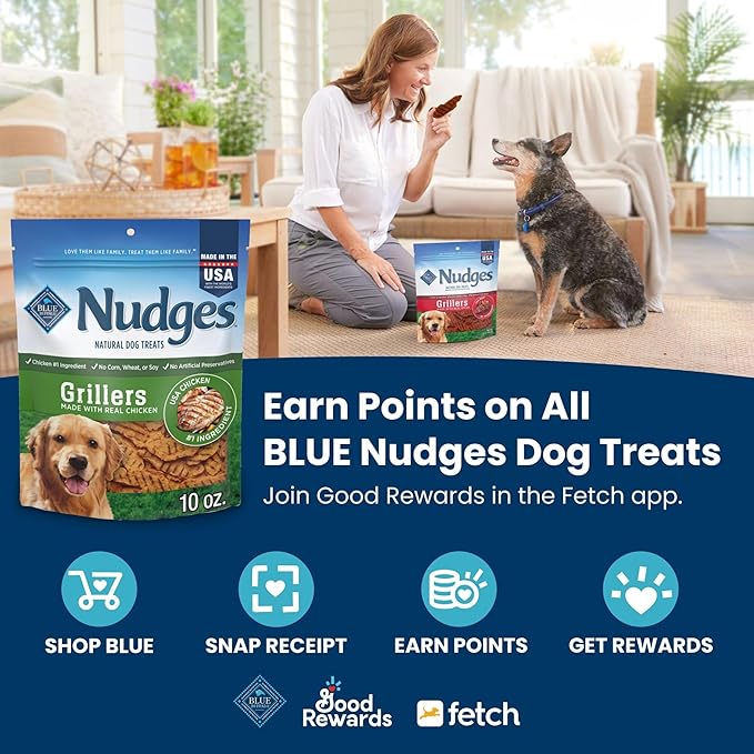 Blue Buffalo Nudges Jerky Cuts Dog Treats, Made in the USA with Natural Ingredients, Chicken, 10-oz Bag