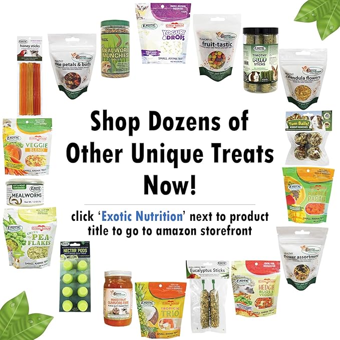 Exotic Nutrition Eucalyptus Sticks - Healthy Vitamin-Fortified Crunchy Chew Treat - Natural Treat for Sugar Gliders - Made with Eucalyptus Leaves, Oats, Fruit, Honey