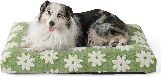 LE SURE XLarge Dog Bed-Thick Shredded Chopped Foam Pet Bed Indoor with Removable Cover, Cute Modern Fuzzy Plush & Anti Slip Bottom, Green