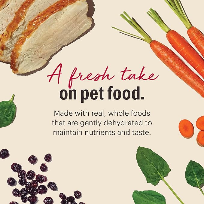 The Honest Kitchen Wholemade™ Grain Free Turkey Dog Food, 7 lb Box