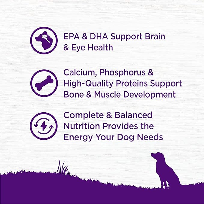 Wellness Complete Health Puppy Dry Dog Food, Wholesome Grains, Natural, Chicken, Oatmeal, & Salmon Recipe, (26-Pound Bag)