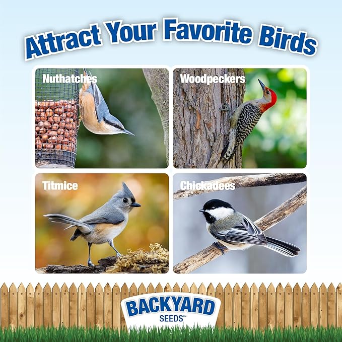 Backyard Seeds Peanut Hearts for Wild Birds – Premium Shelled Peanuts Bird Food – High-Energy Feed for Woodpeckers, Blue Jays, Nuthatches, Chickadees & More (20 Pounds)