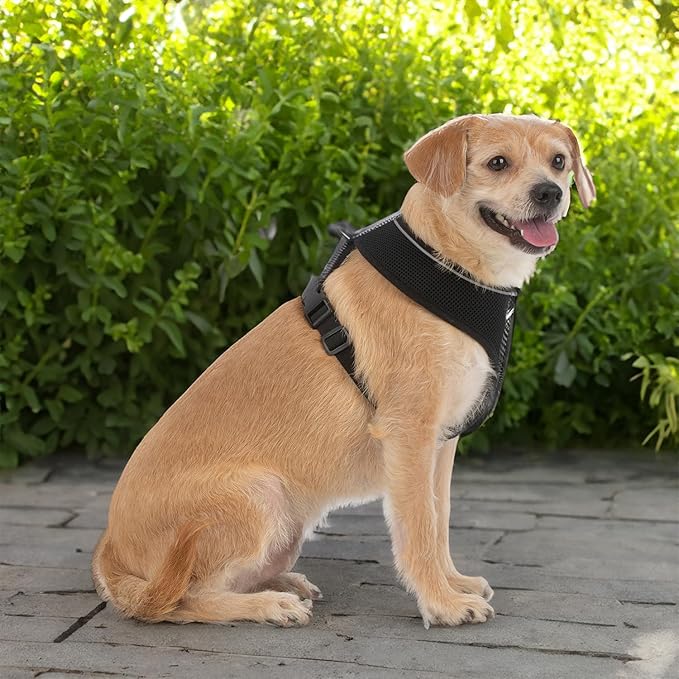 Best Pet Supplies Voyager Mesh Dog Breathable Harness Reflective Stitching, All Weather Adjustable for Walking Training, or Running - Heavy Duty & Durable, 220 Style (Black), XL