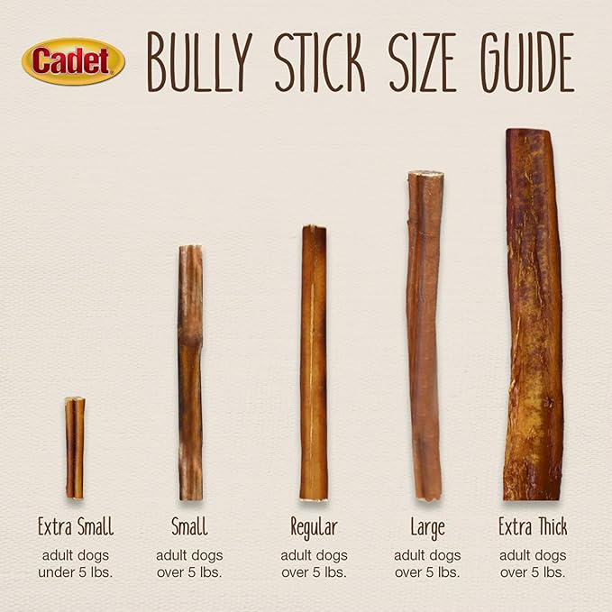 Cadet Bully Sticks for Small Dogs, All-Natural Beef Pizzle, Rawhide-Free Long-Lasting Dog Chews for Aggressive Chewers, 4 Count