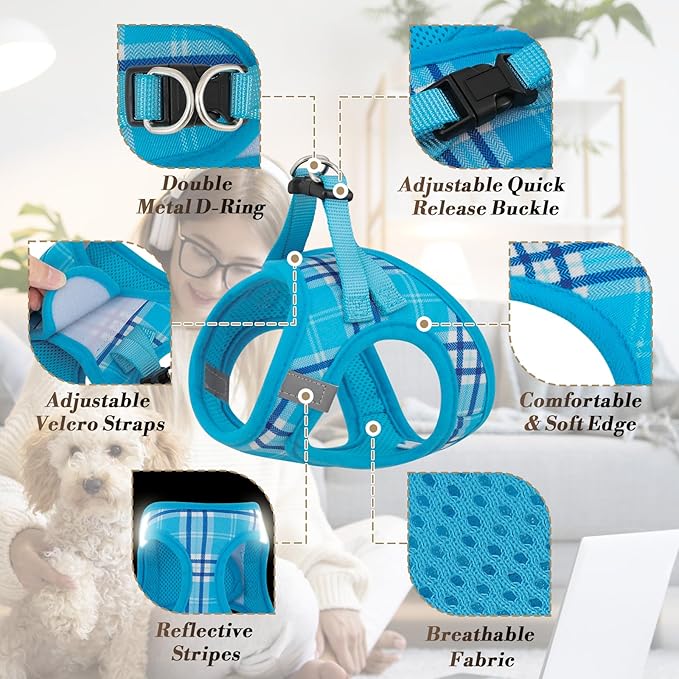 Athena Collection Small Dog Harness with 5 ft Leash, Step-in Dog Harness Leash Set Small No Pull Dog Vest Harness with Reflective Strips Adjustable Velcro, Easy Walk Puppy Harness, Blue