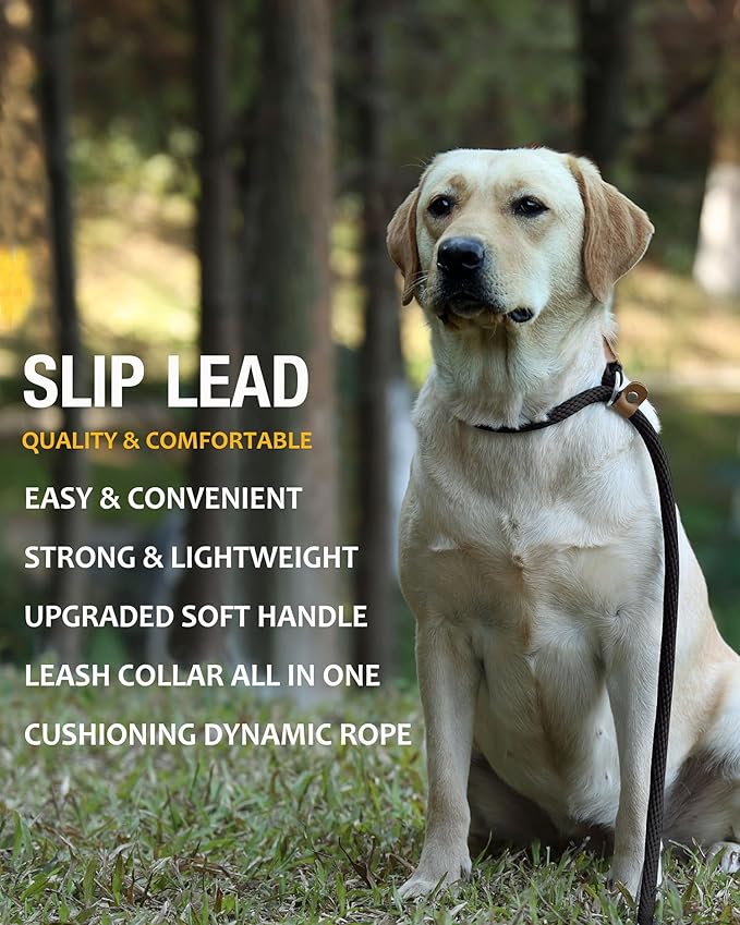 lynxking Dog Leash Slip Lead 5 6 8 FT Dog Training Leash Strong Heavy Duty Rope No Pull Training Lead Leashes for Dogs