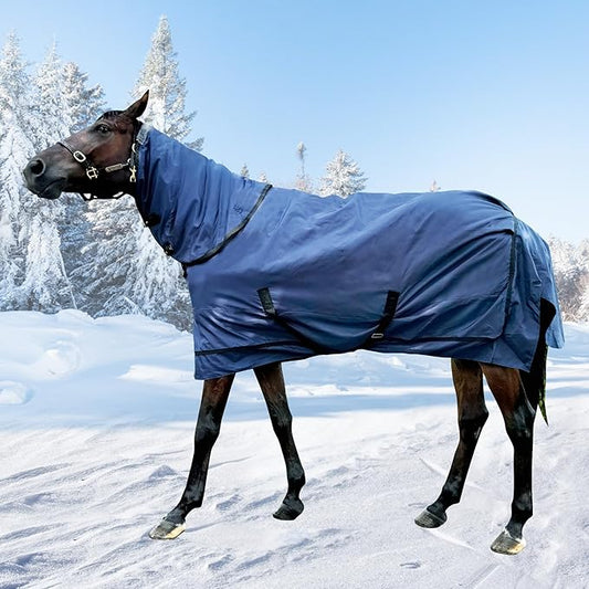 Horse Turnout Blanket | Medium Weight Horse Blanket with 1200D 280g Cotton Filling | Detachable Neck Cover & Belly Wrap (81i/155cm)