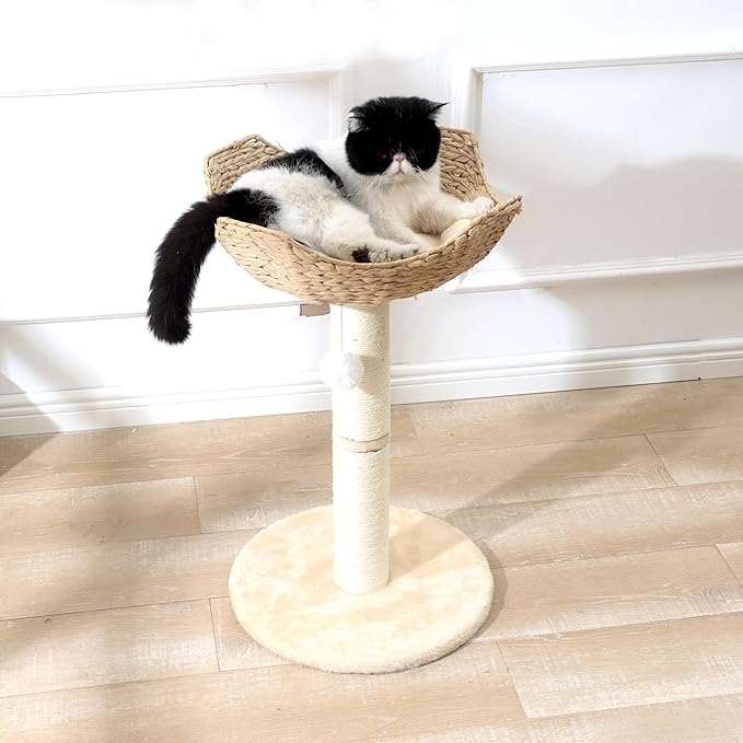 SHENGOCASE Small Cat Tree Tower with Large 17.7" Rattan Wicker Basket, Handwoven Nest Basket Bed, Window Perch for Large Cats up to 25LBS