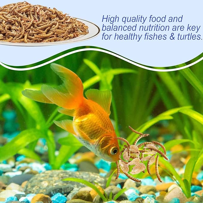 Amzey Shrimp & Mealworms 100% Non-GMO Dried Mealworms - High-Protein Meal Worm Treats - Perfect for Your Chickens, Ducks, Wild Birds, Turtles, Hamsters, Fish and Hedgehogs