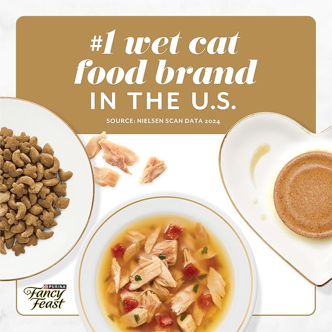 Purina Fancy Feast Savory Centers With Salmon Wet Cat Food Pate with Gourmet Gravy Center - (Pack of 24) 3 oz. Cans
