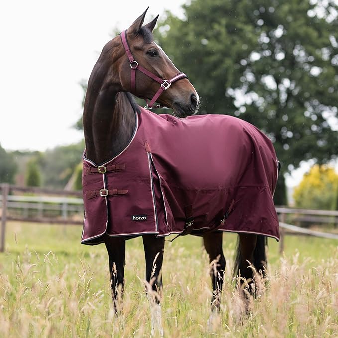 HORZE Glasgow Lightweight Waterproof Horse Turnout Blanket (100g Fill) - Burgundy - 69 in