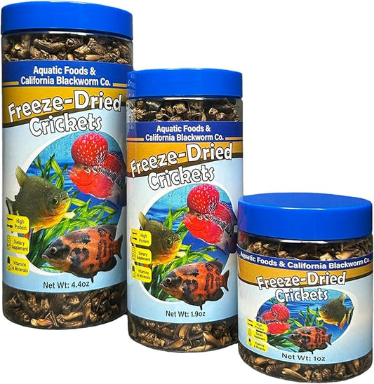 Aquatic Foods Inc. Crickets, Freeze Dried Crickets for Large Tropical Fish, Monster Fish, Reptiles, Turtles, Tortoises, Frogs, Hamsters, Birds, Rodents 6oz Canister